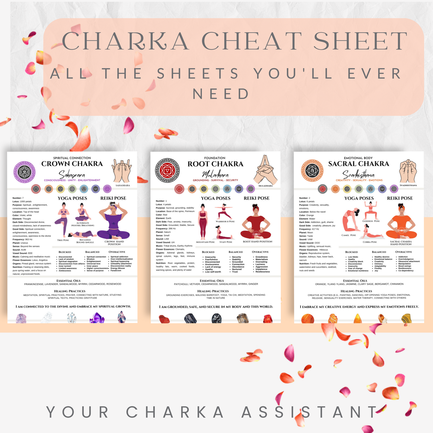 Charka Cheat Sheet